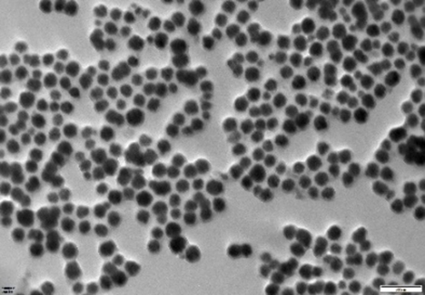 脂溶性維生素的磁固相萃取快速檢測方案——代謝組學磁珠